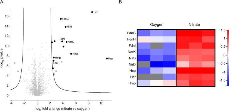 FIG 2