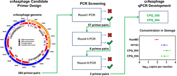 graphic file with name nihms-1504308-f0003.jpg