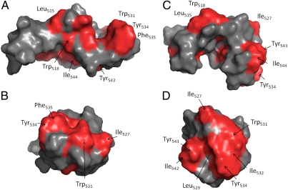 Fig. 6.