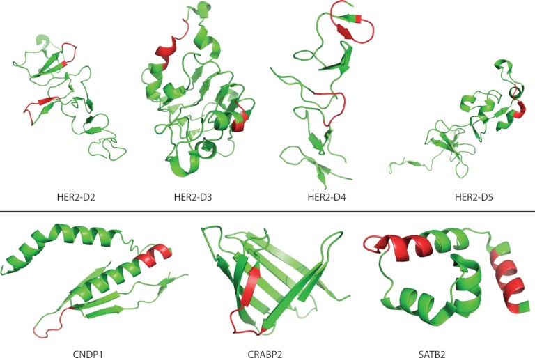 Fig. 7.