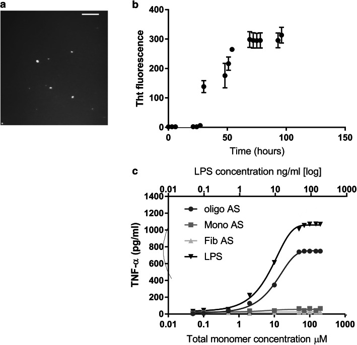 Fig. 2