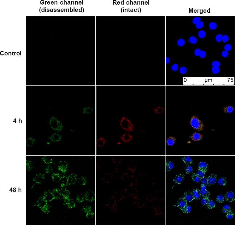 Figure 5