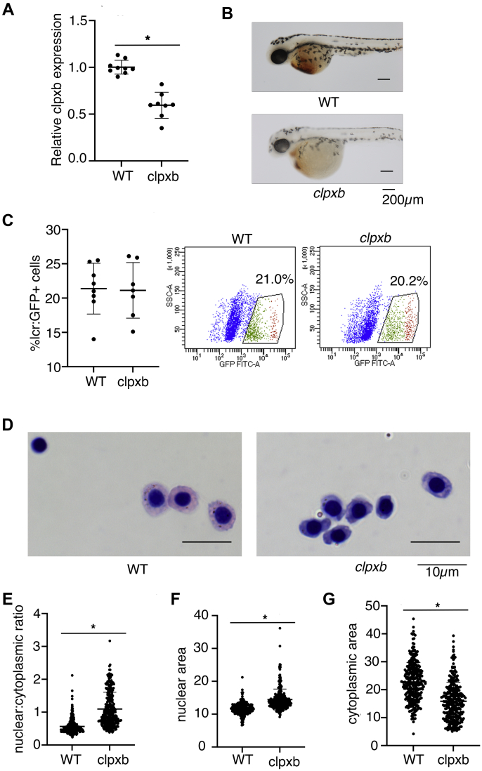 Figure 2