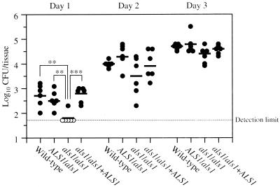 FIG. 1.