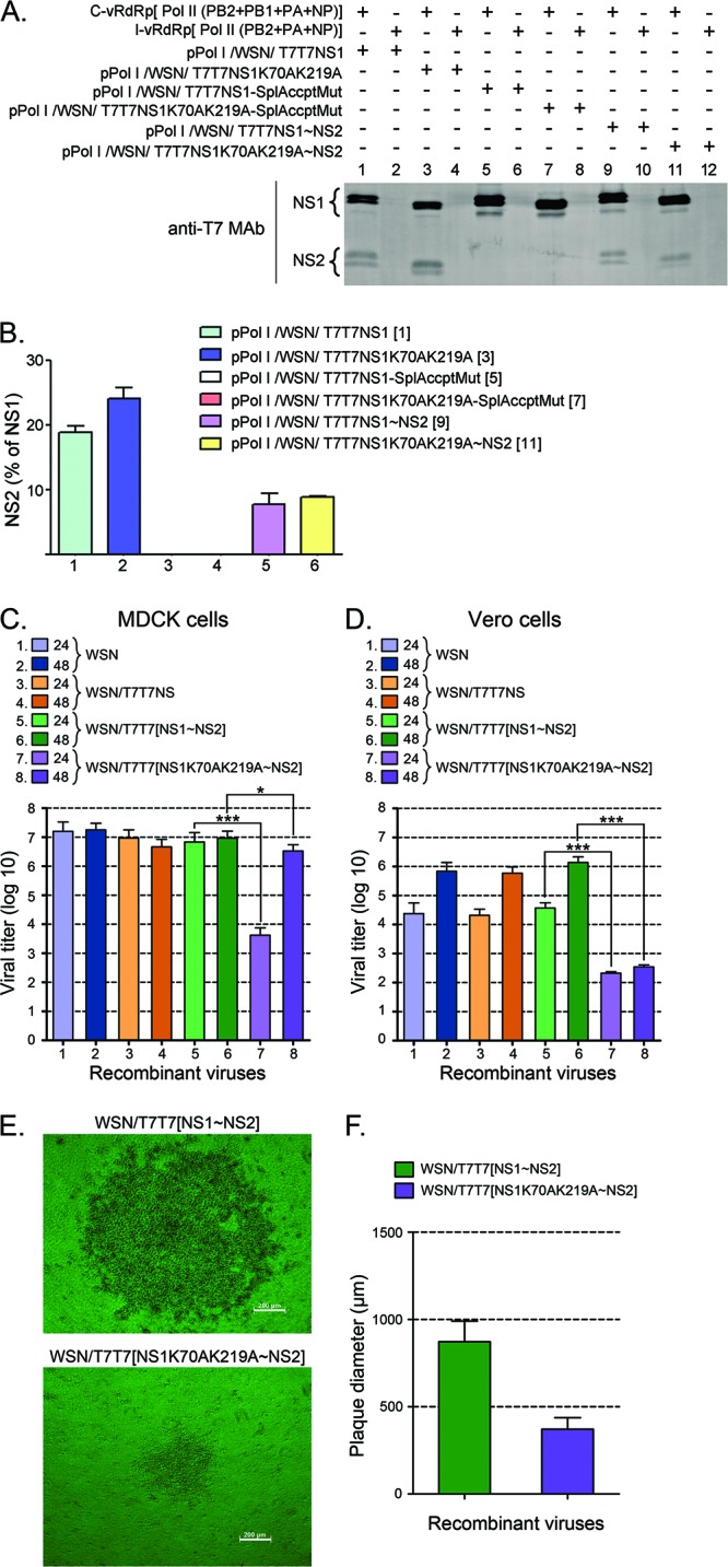 Fig 6