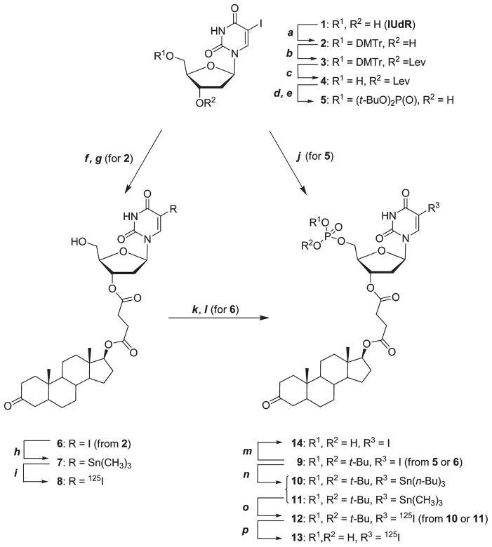 Scheme 1