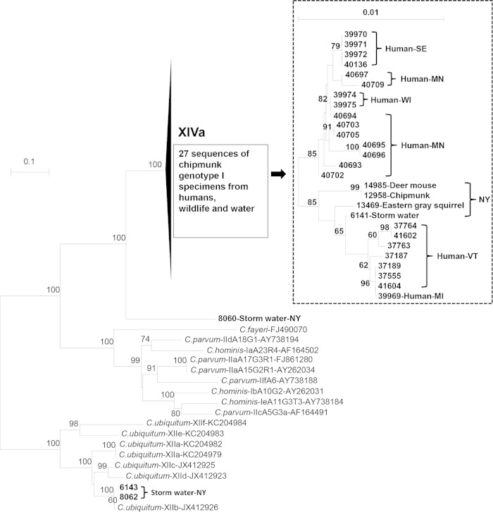 FIG 2