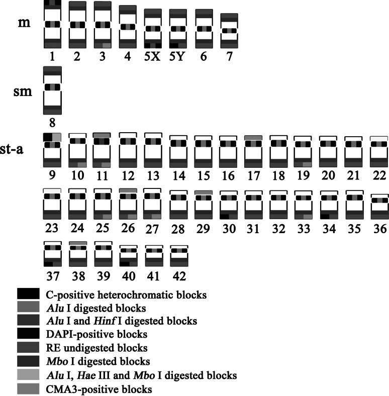 Fig. 2