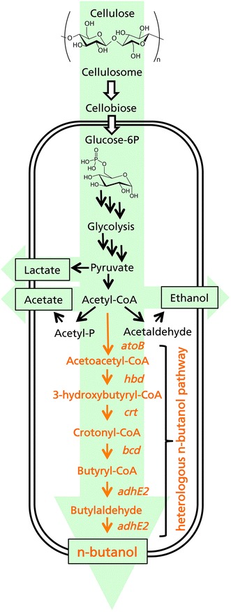 Fig. 1