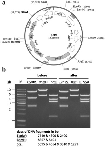 Fig. 2