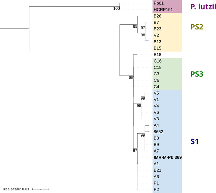 Fig. 2.