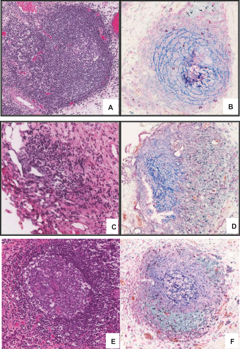 Fig.3