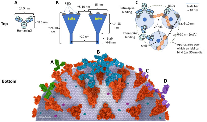 Fig. 11