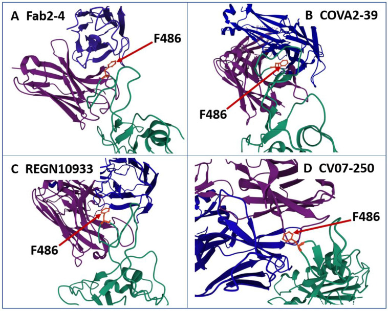 Fig. 8