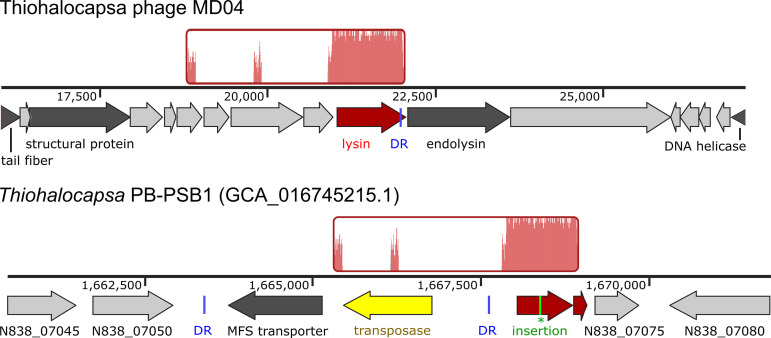 FIG 6