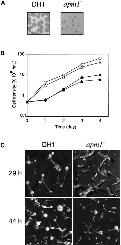 Figure 6.