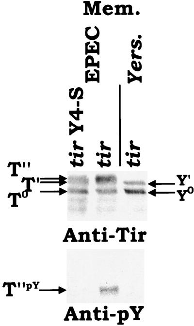 FIG. 8