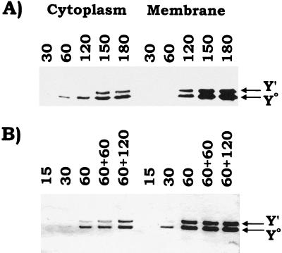 FIG. 6