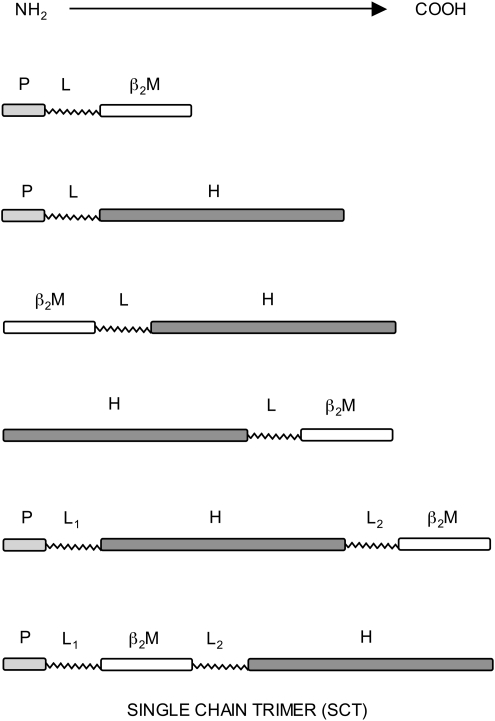 FIG. 1.