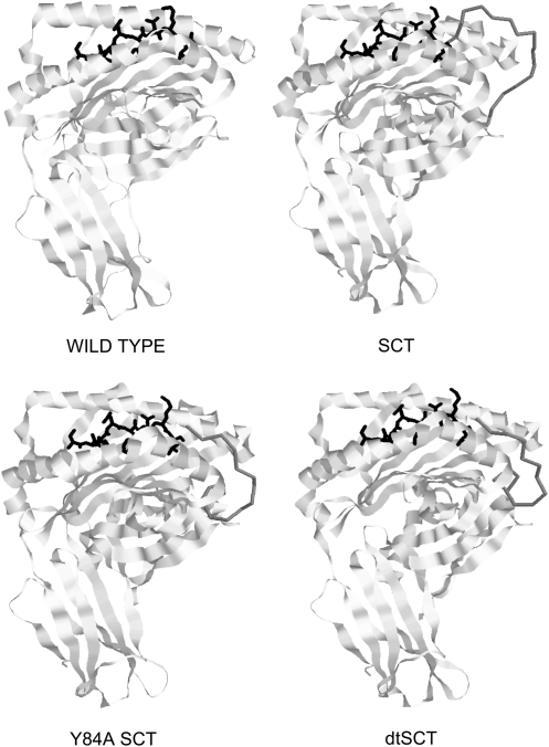 FIG. 5.