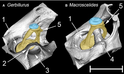 Figure 8