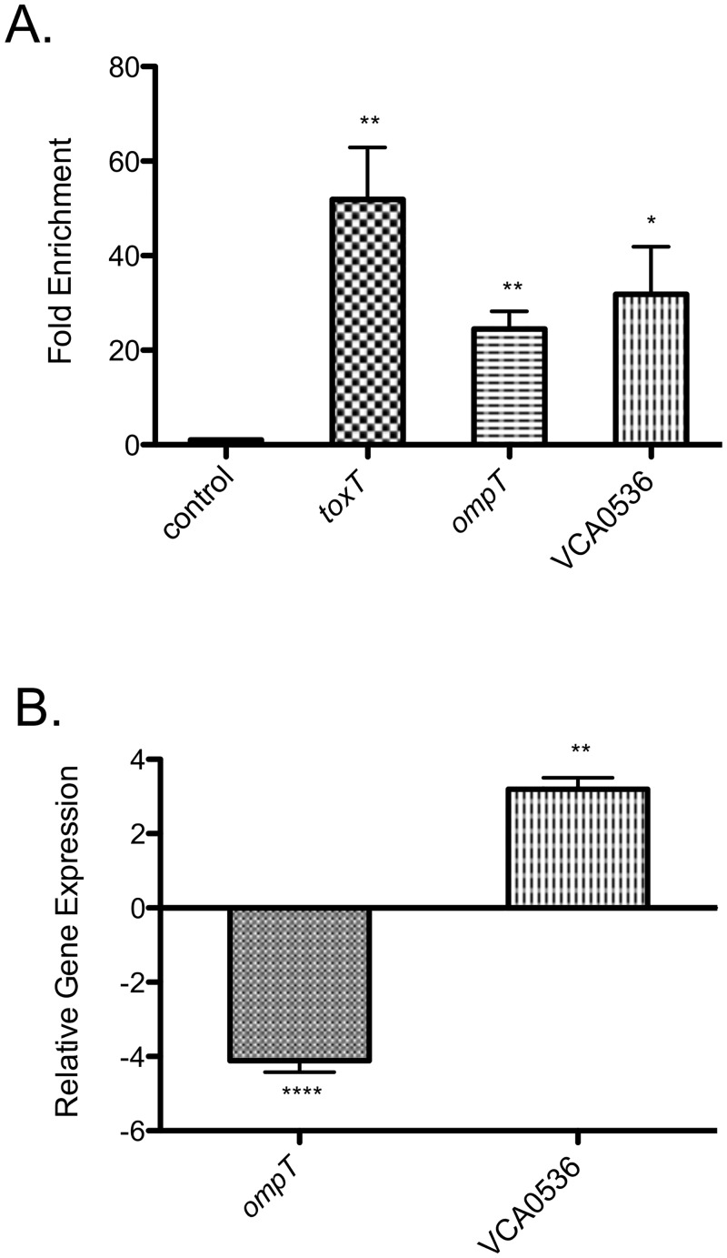 Fig 5