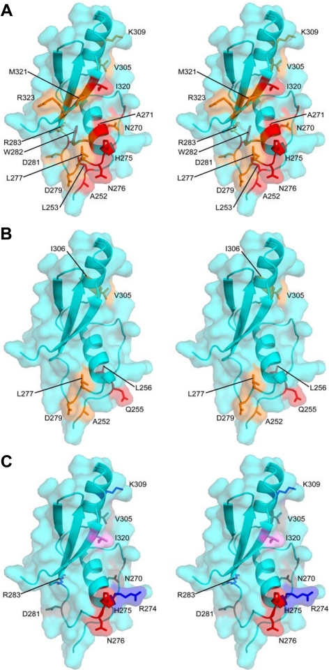 Figure 6.