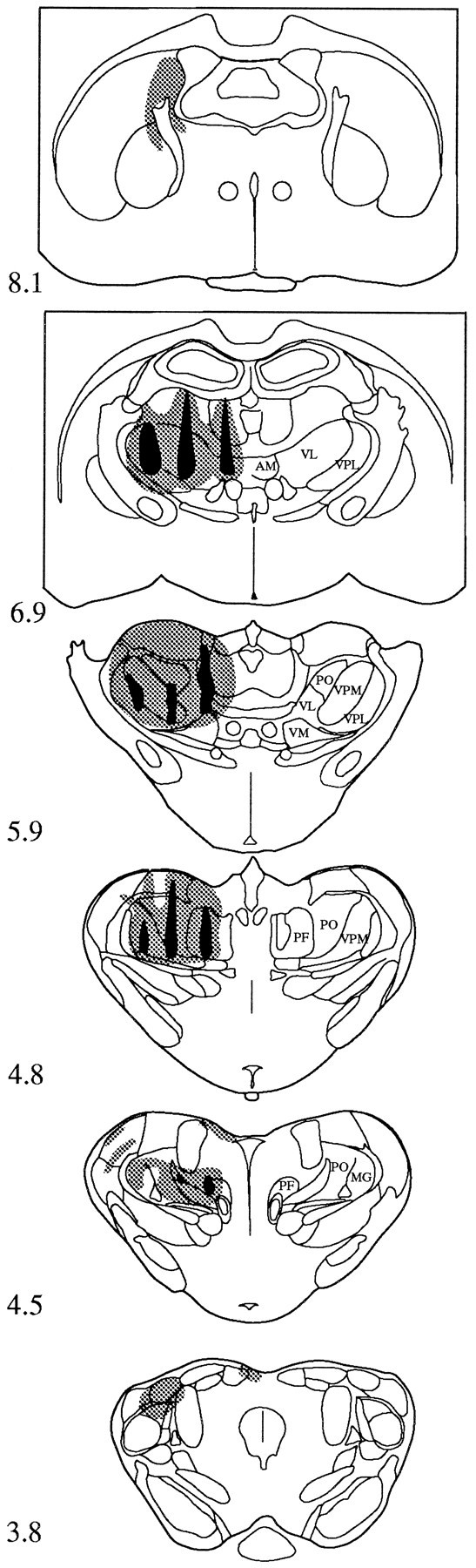 Fig. 8.