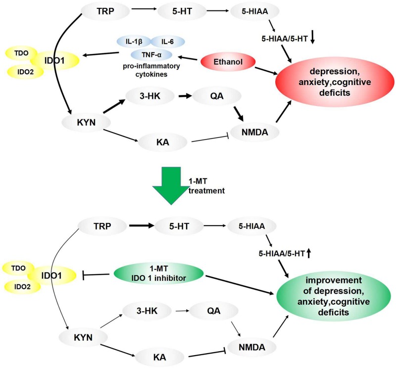 FIGURE 10