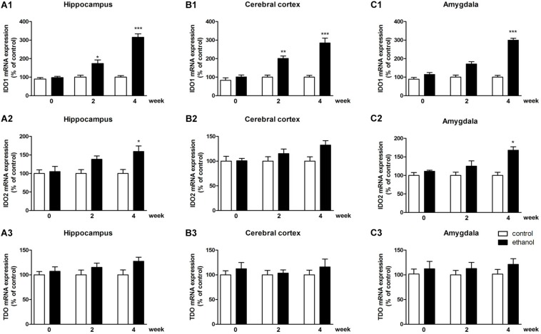 FIGURE 3