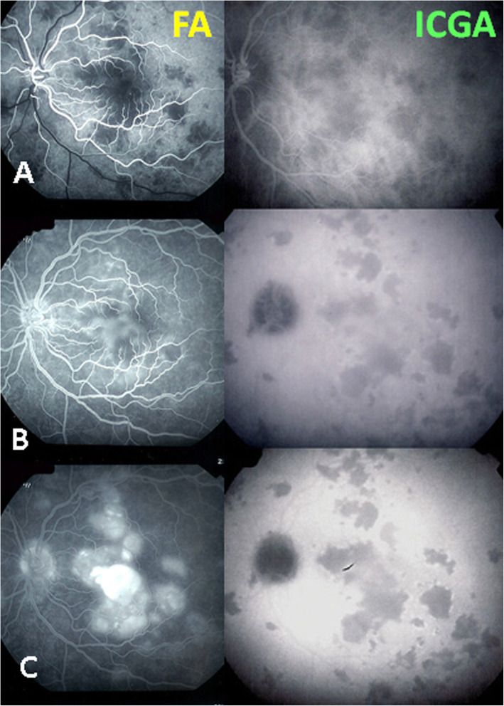 Fig. 10