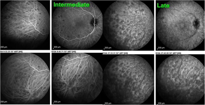 Fig. 6