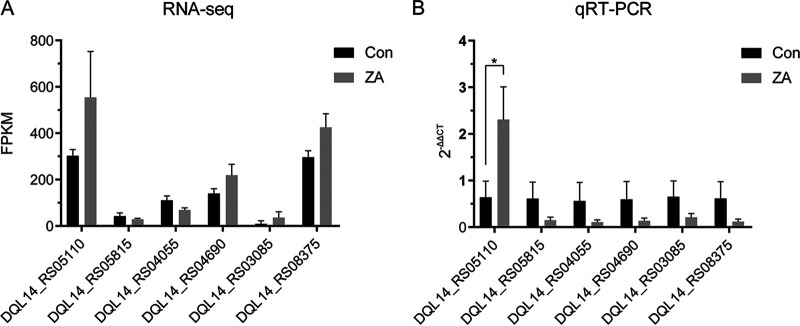 FIG 3