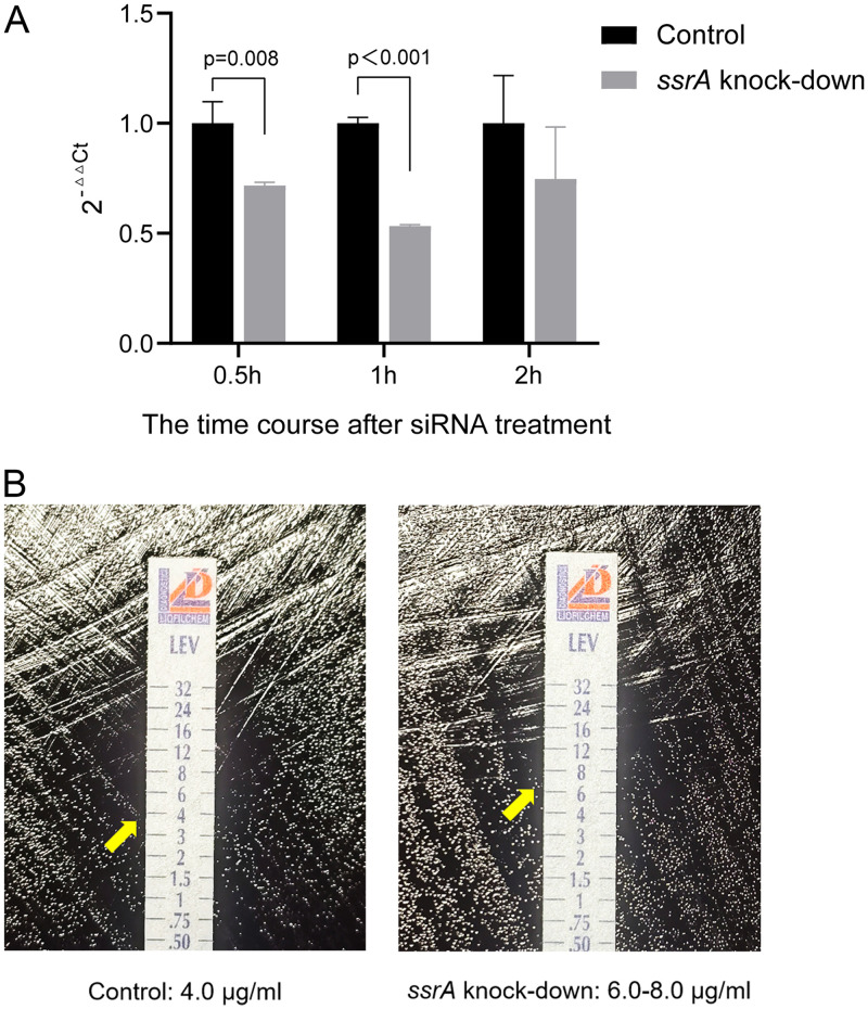 FIG 4