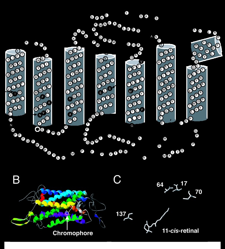 Fig. 4.