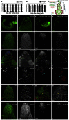 Fig. 4.