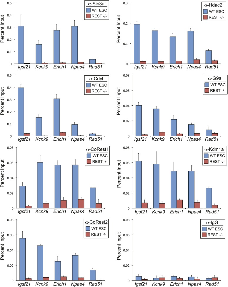 Figure 1—figure Supplement 1.