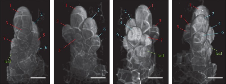 Figure 3.