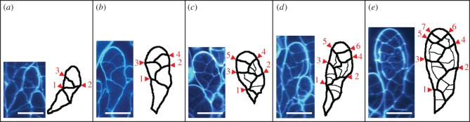 Figure 4.