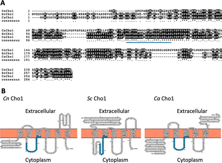 Figure 2.