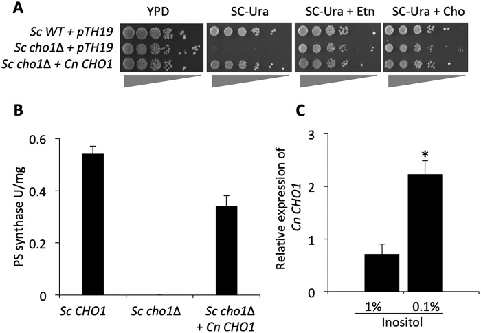 Figure 4.