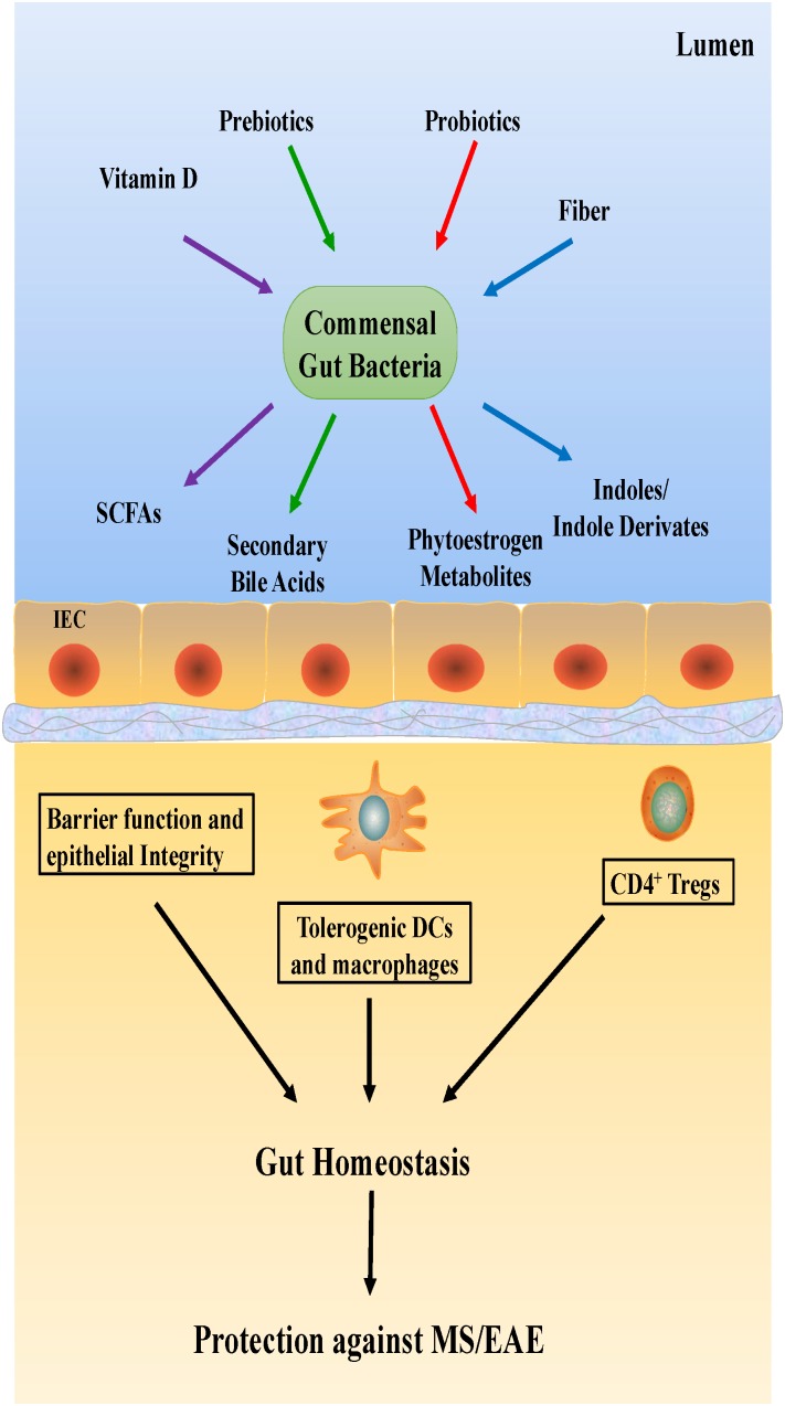 FIGURE 3