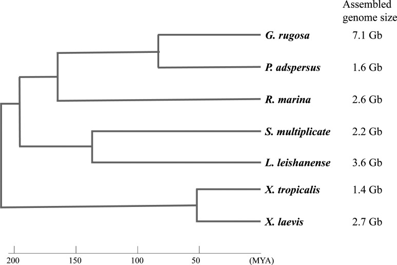 Figure S1.