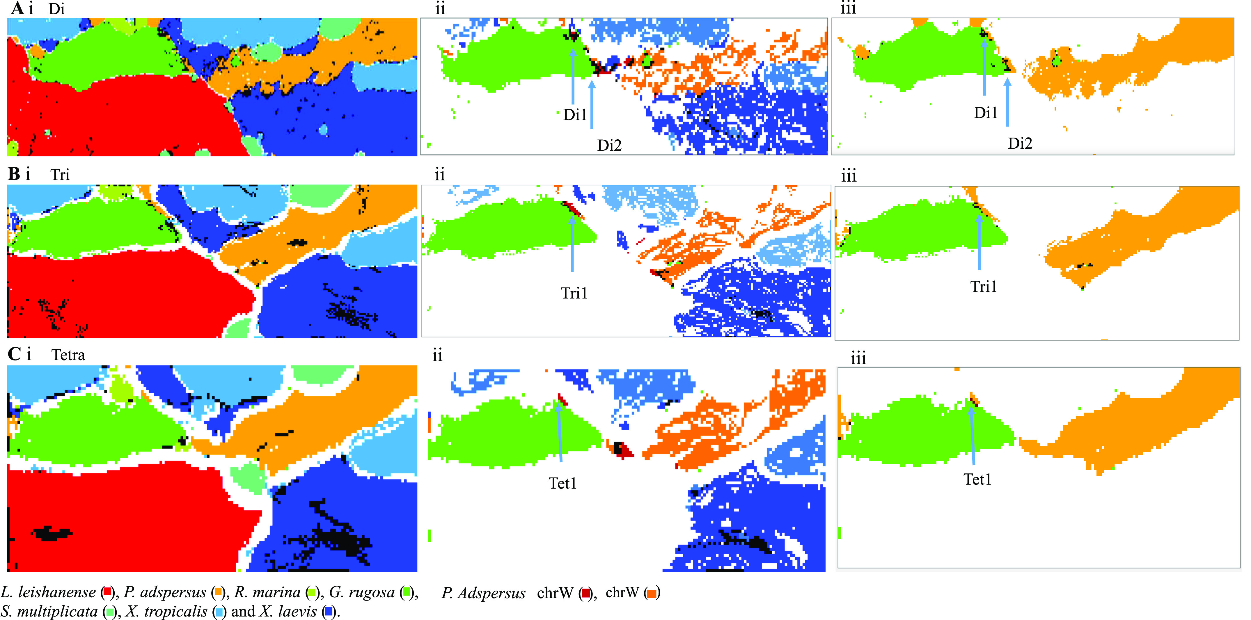 Figure 6.