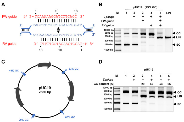 
Figure2
