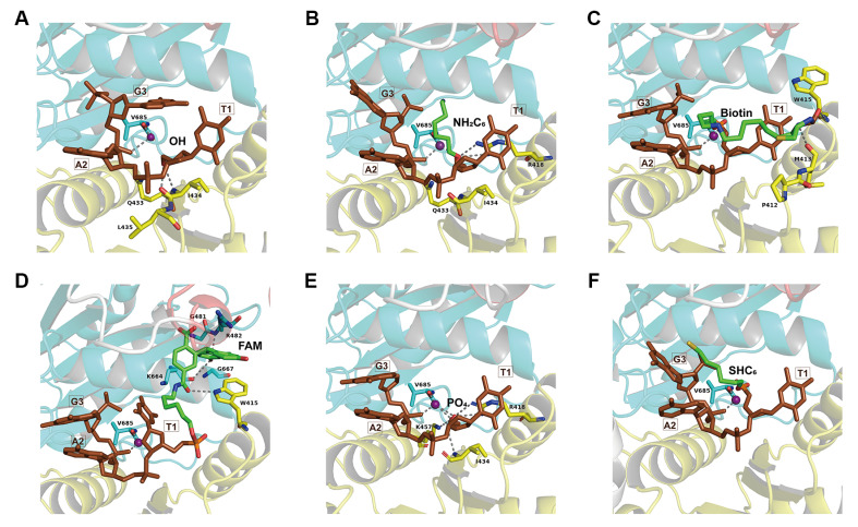 
Figure6
