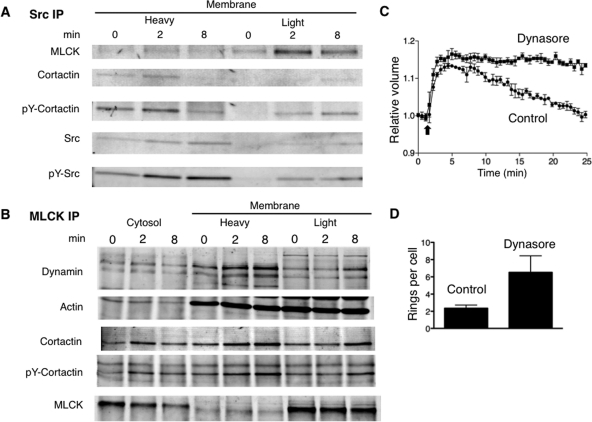 FIGURE 9: