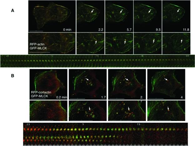 FIGURE 4: