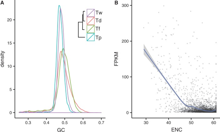 Fig. 4.—