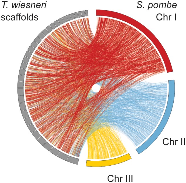 Fig. 2.—